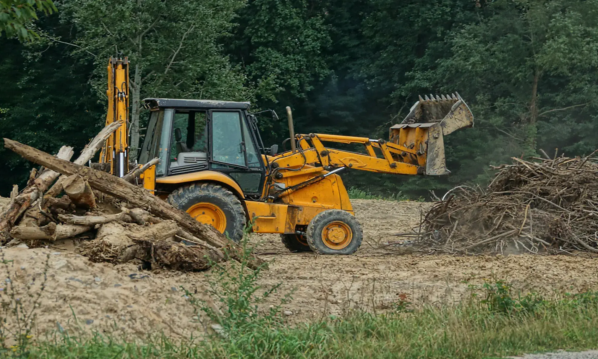 Yellow backhoe loader moving tree branches outdoors.