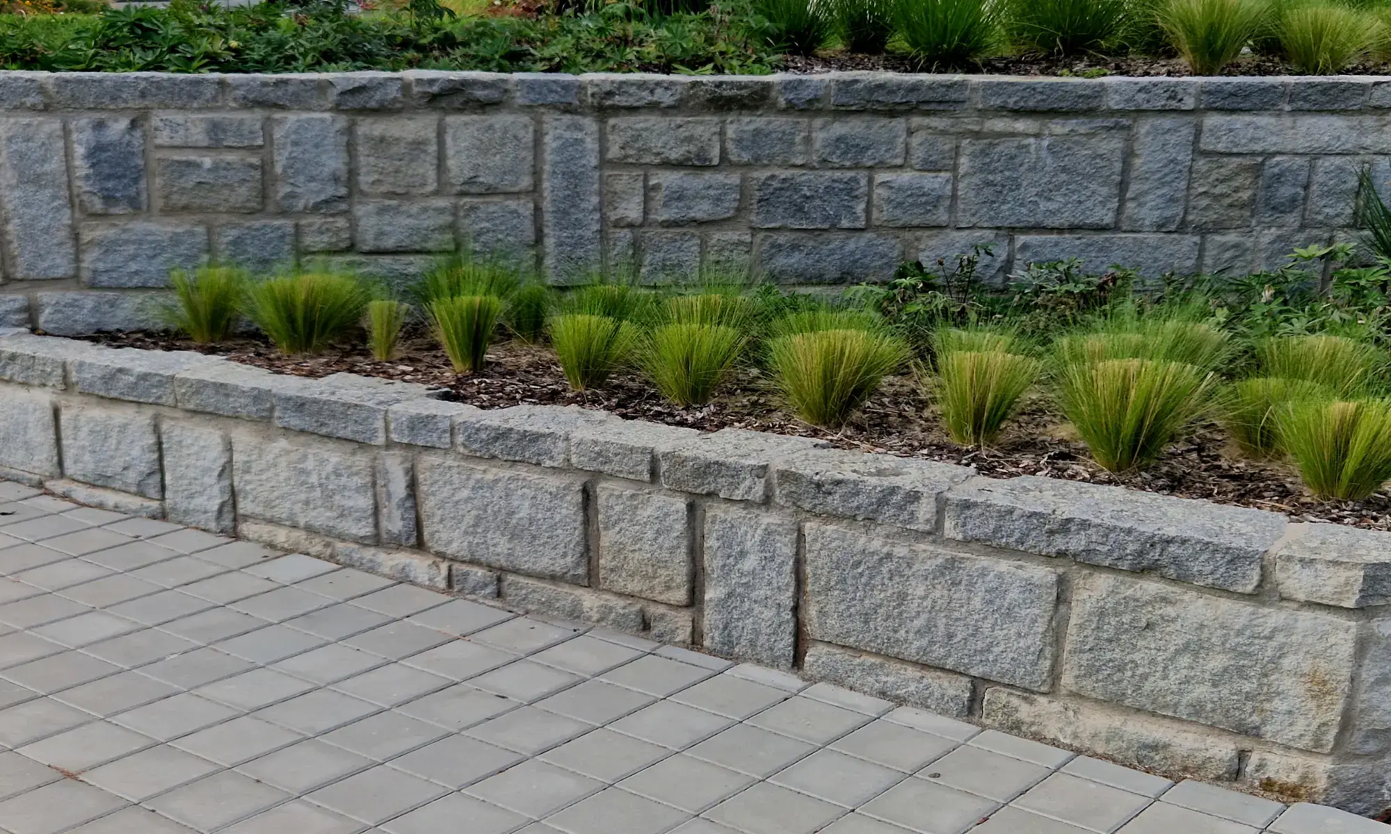 Stone wall with neatly arranged green plants.