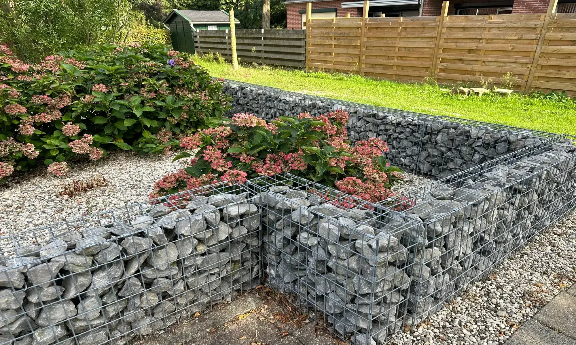 Garden with gabion wall and flowering plants.