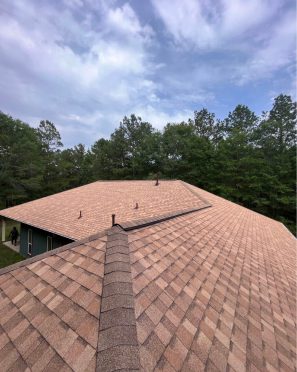 House roof with trees and cloudy sky.